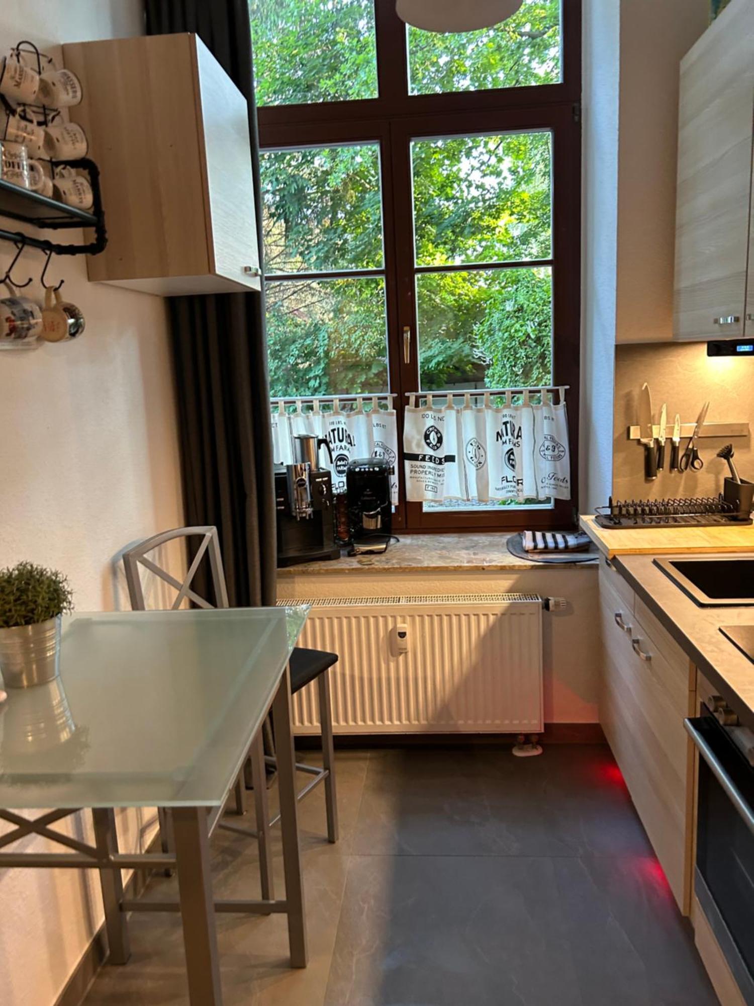 Ruhige Wohnung Im Fabrikstil In Chemnitz Exterior photo